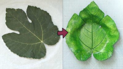 Tutorial Cuencos con hojas naturales y pasta de modelar o arcilla